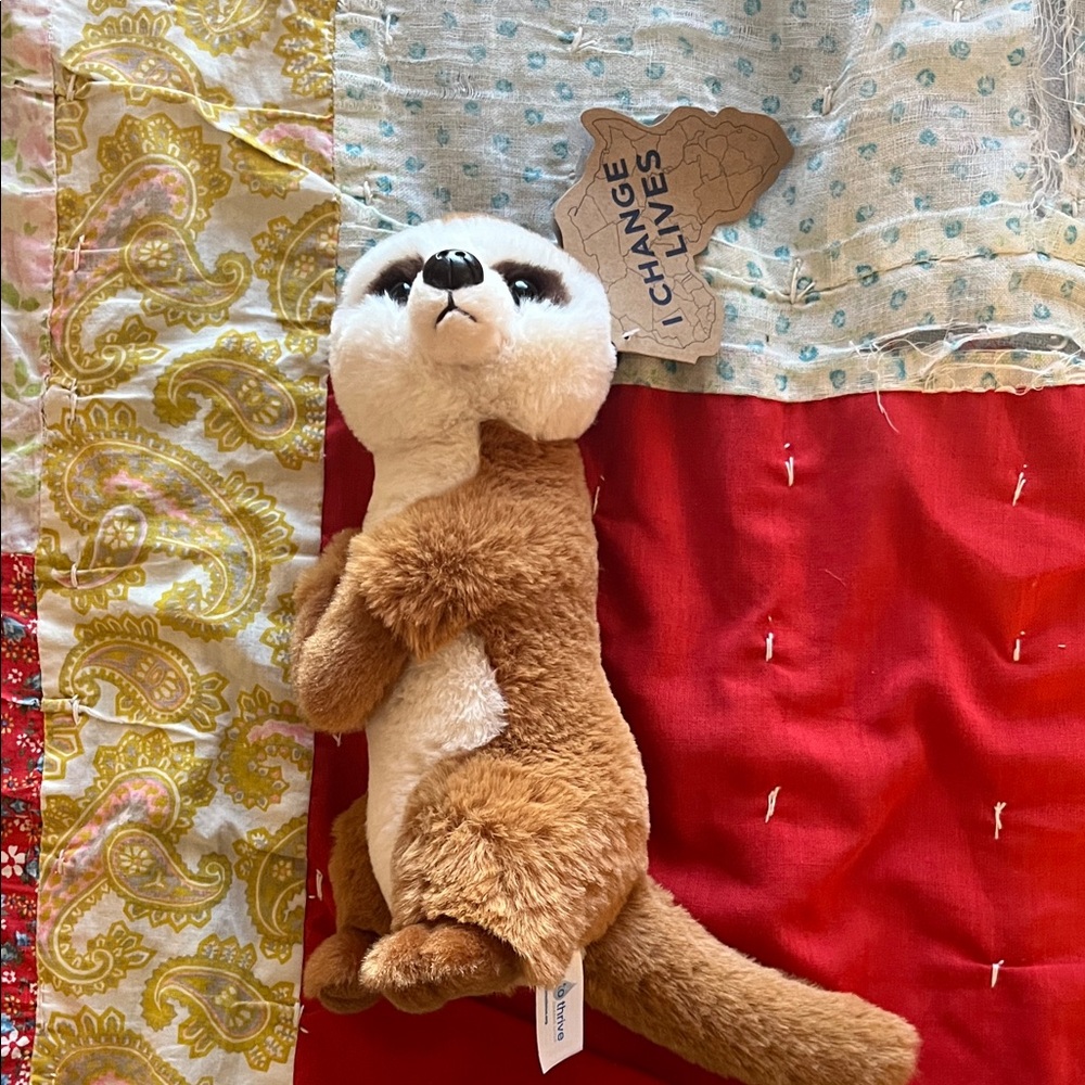 NWT Aurora World Meerkat
